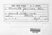 Image Associated With the Occurence